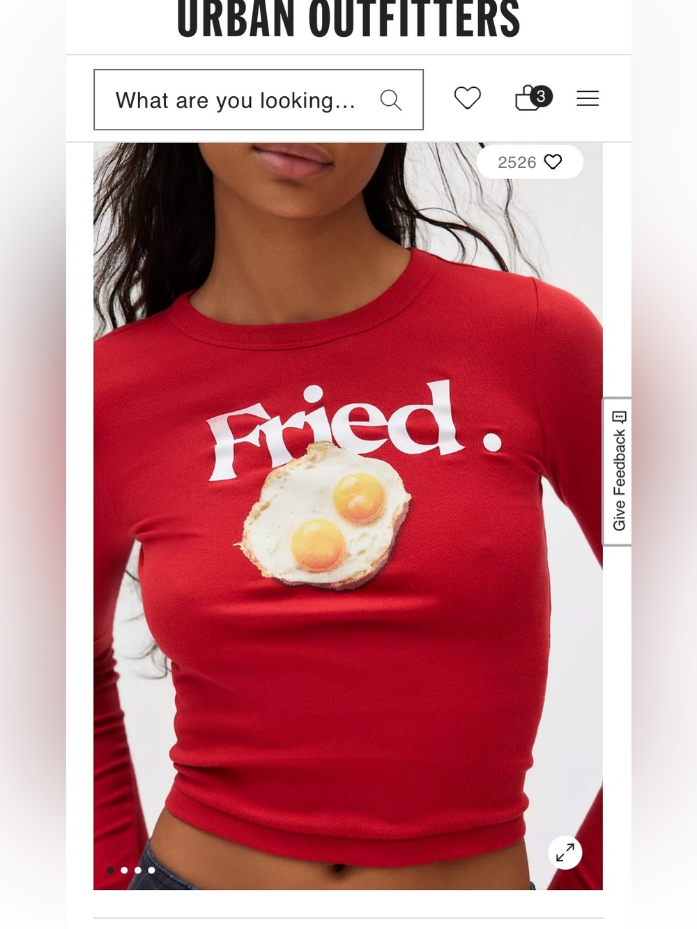 ISO (not for sale!): BDG Fried Egg Graphic Too Perfect Long Sleeve Tee